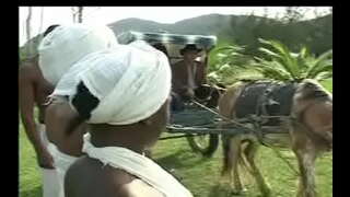 ���ूपमा Negras दा senzala