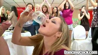 Dancingcock 닭이 큰 행사